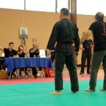 defi-tayson-2015-726