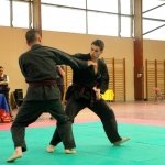defi-tayson-2015-729