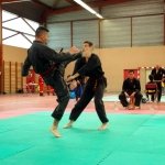 defi-tayson-2015-732