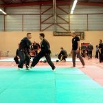 defi-tayson-2015-734