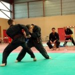 defi-tayson-2015-737