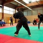 defi-tayson-2015-738