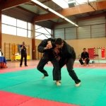 defi-tayson-2015-739