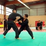 defi-tayson-2015-741