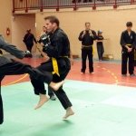 defi-tayson-2015-750