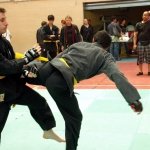 defi-tayson-2015-754