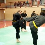 defi-tayson-2015-755