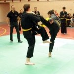 defi-tayson-2015-760