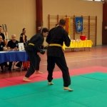defi-tayson-2015-781