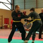 defi-tayson-2015-782