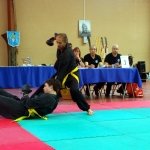 defi-tayson-2015-786
