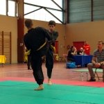 defi-tayson-2015-787