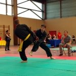 defi-tayson-2015-792