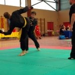 defi-tayson-2015-793
