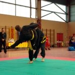 defi-tayson-2015-794