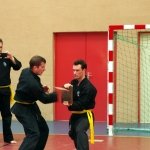 defi-tayson-2015-796