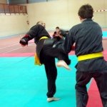 defi-tayson-2015-799