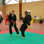 defi-tayson-2015-822
