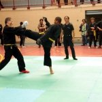 defi-tayson-2015-828