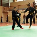 defi-tayson-2015-830