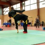 defi-tayson-2015-835