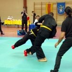 defi-tayson-2015-842