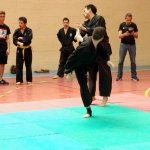 defi-tayson-2015-854