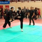 defi-tayson-2015-858