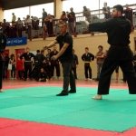 defi-tayson-2015-863