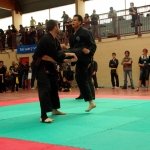 defi-tayson-2015-866