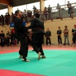 defi-tayson-2015-867