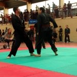 defi-tayson-2015-868