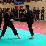 defi-tayson-2015-876