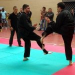 defi-tayson-2015-877