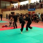 defi-tayson-2015-879