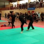 defi-tayson-2015-880