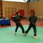 defi-tayson-2015-901