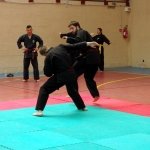 defi-tayson-2015-923