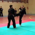 defi-tayson-2015-929