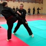 defi-tayson-2015-931