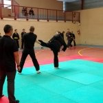 defi-tayson-2015-932