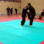 defi-tayson-2015-935