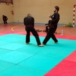 defi-tayson-2015-936