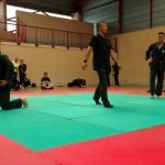 defi-tayson-2015-971