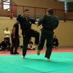 defi-tayson-2015-972