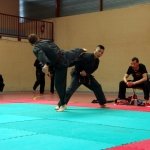 defi-tayson-2015-973