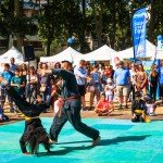 img_0080