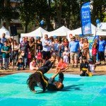 img_0081
