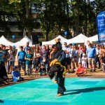 img_0082