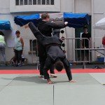 IMG_2741-1